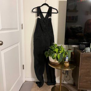 Free People Ziggy Denim Overalls